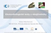 Klára Hilscherová RECETOX, Přírodovědecká fakulta MU Brno · - invaze parazity (Trematoda – Ribeiroia ondatrae) - kontaminanty životního prostředí pesticidy, herbicidy