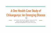 A One Health Case Study of Chikungunya: An Emerging Disease - chikungunya - ppt.pdf · Emerging Diseases Defined: “infectious diseases whose incidence in humans has increased in