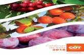 Catálogo de fruta 2018 - cot-international.eu · frutos de una variedad bajo el COV deberá solicitar la autorización al obtentor o editor de la variedad, firmar un contrato de