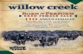 Fellow Cattlemen, - Willow Creek Farmwillowcreekfarm.info/wp-content/uploads/2016-female-sale-book.pdf · Fellow Cattlemen, Welcome to our Annual Female Sale! We believe this years’