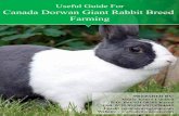 Useful Guide For Canada Dorwan Giant Rabbit Breed Farming · A farming joint venture between the two parties, ... Kenya Limited). A contract farming agreement is not a partnership;