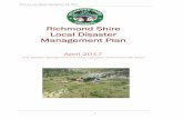 District Disaster Management Plan Template Local Disaster Management Plan 2017 _____ 2 Foreword Foreword from the Chair of the Local Disaster Management Group As most of us are aware,