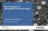 Silver Particles in Wastewater Treatment Plants on nitrification in activated sludge (silver chloride, metallic nanosilver, metallic microcomposite silver) nMass balance in a pilot