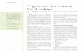Trigeminal Autonomic Cephalalgias - ACNR · 12 > ACNR >VOLUME 14 NUMBER 4 >SEPTEMBER/OCTOBER 2014 T he Trigeminal Autonomic Cephalalgias (TACs) are a group of headache disorders characterised