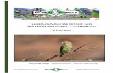 NAMIBIA, OKAVANGO AND VICTORIA FALLS TRIP REPORT … ·  info@birdingecotours.com NAMIBIA, OKAVANGO AND VICTORIA FALLS TRIP REPORT 20 NOVEMBER - 7 DECEMBER 2015 By Jason Boyce