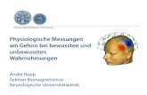 Physiologische Messungen am Gehirn bei bewussten und ... · Musikalität - Anatomie - Physiologie P50m MAEP in Narkose rechts links Patient nach Blutung Proband Computer-Tomographie