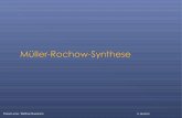 Pascal Lerner / Matthias Muesmann 11.06 - fh-muenster.de · Herstellung von Methylchlorsilanen durch Müller-Rochow-Synthese Methylchlorsilane werden zu Silikonherstellung benötigt