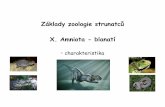 Základy zoologie strunatců - is.muni.cz · Chlamydosauruskingi- agama límcová Moloch horridus–molch ostnitý Agamidae –agamovití(380) Iguanidae –leguánovití(600) Iguania