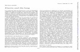 Elastin and the lung - thorax.bmj.com · the physical properties of elastin has been recently reviewed.2" Degradation ofelastin Turnover studies have shown that, once the elastin