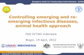 Controlling emerging and re- emerging infectious diseases ...zoonosis.ipb.ac.id/pdf_file/FAO_IPB_Sem Zoonosis_19April12_Elly S_NEW.pdf · Controlling emerging and re-emerging infectious