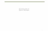 Modulhandbuch Master Biologie - bio.tu-darmstadt.de · Pathobiochemie, Molekulare Medizin, Industrielle Biotechnologie Übung: In der Übung zum Praktikum üben die Studierenden den