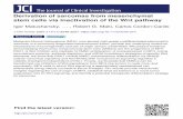 stem cells via inactivation of the Wnt pathway Derivation ... · Derivation of sarcomas from mesenchymal stem cells via inactivation of the Wnt pathway Igor Matushansky, … , Robert