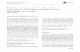 Distribution and persistence of Verticillium dahliae in ... · Distribution and persistence of Verticillium dahliae in the xylem of Norway maple and European ash trees Mojtaba Keykhasaber