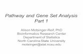 Pathway and Gene Set Analysis Part 1 - biostat.washington.edu · Alison Motsinger-Reif, PhD Bioinformatics Research Center Department of Statistics North Carolina State University