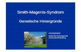 Smith-Magenis-Syndrom · Grundlagen der Vererbung • DNA= Erbsubstanz • Gen= Abschnitt der DNA, enthält die Information für eine bestimmte Funktion „Die Sprache der Gene“,
