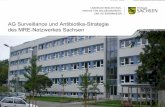 AG Surveillance und Antibiotika-Strategie des MRE ... · denen zum Antibiotika-Verbrauch und Information der Antibiotika-verschreibenden Ärzte über die Ergebnisse Erstellung von
