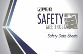 Safety Data Sheets · PPT-SM-SDS-2019. An SDS gives workers . detailed information . about the hazards of a specific material and how to control those hazards. SDSs are divided into