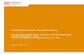 Fachhochschule Brandenburg Modulkatalog des ... TIM... · PDF fileModul-Kurzkennzeichen: Betriebswirtschaft - Management & Business Plan Modulbezeichnung: Betriebswirtschaft - Management
