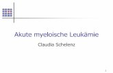 Claudia Schelenz - km-potsdam.de · Die akuten myeloischen Leukämien sind klonale Stammzellerkrankungen, die durch einen Reifungsarrest mit Expansion meist unreifer myeloischer Zellen