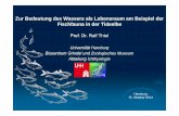 Zur Bedeutung des Wassers als Lebensraum am Beispiel der ... · Abteilung Ichthyologie Hamburg 15. Oktober 2014. Hamenfischerei Datenerhebung: Beispiel BMBF-Projekt KLIMZUG-NORD .