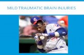 MILD TRAUMATIC BRAIN INJURIES - plrbclaimsconference.org · brain injuries it is not only the brain injury it is the brain that was injured that needs to be evaluated as well!