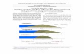 Stability analysis and flow behavior for dikes reinforced ... David Camelia_alex.pdf · Stability analysis and flow behavior for dikes reinforced with geo plastics using numerical