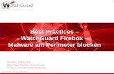 Best Practices WatchGuard Firebox Malware am Perimeter blocken · Ein menschlicher Malware-Analyst kann sich die Eigenschaften von 10 - 30 Dateien ansehen, um die Schädlichkeit einer