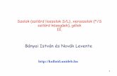Bányai István és Novák Levente - kolloid.unideb.hukolloid.unideb.hu/wp-content/uploads/gyogyszeresz/Gy_BINL_9_gelek.pdf · 2 Kolloid rendszerek (szerkezet alapján) Porodin (pórusos)