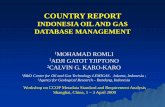 COUNTRY REPORT - CCOP · COUNTRY REPORT . INDONESIA OIL AND GAS . DATABASE MANAGEMENT. Workshop on CCOP Metadata Standard and Requirement Analysis Shanghai, China, 1 – 3 April 2009