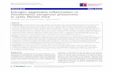 RESEARCH Open Access Estrogen aggravates inflammation in ... · Recent evidence suggests a central role for the IL-23/IL-17 pathway in the pathogenesis of CF lung inflammation. We