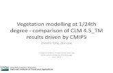 Vegetation modelling at 1/24th degree - comparison of CLM ... · Vegetation modelling at 1/24th degree - comparison of CLM 4.5_TM results driven by CMIP5 . Zhenlin Yang, Bev Law .