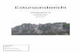 Stratigraphie III - Steinkern.de · Auflässiger Steinbruch am Forstweg in Niederschöna ( GK 4600725/5648512 ) Der Aufschluss zeigt mehrere sich abschneidende Rinnensysteme. Lithologisch