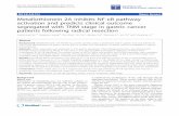 RESEARCH Open Access Metallothionein 2A inhibits NF-κB ... fileRESEARCH Open Access Metallothionein 2A inhibits NF-κB pathway activation and predicts clinical outcome segregated