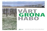 VÅRT GRONA HABO - habokommun.se · 3 Grönstrukturplan för Habo tätort Sammanfattning Hur skall planen användas? Det primära syftet med planen har varit att inventera och dokumentera
