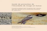 Guide de promotion de l’hirondelle de rivage en Suisse · tière de construction de parois arti-ﬁ cielles de nidiﬁ cation destinées aux hirondelles de rivage. 1.2 L’hirondelle