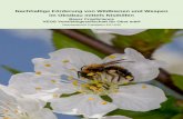 Nachhaltige Förderung von Wildbienen und Wespen im Obstbau ...freilandoekologie-esser.de/wp-content/uploads/...Nisthilfen-Obstbau-2.-Projektjahr.pdf · Nachhaltige Förderung von