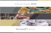 COMPANY PROFILE - assets.picanolgroup.comassets.picanolgroup.com/Annual Reports/Annual report Picanol Group 2018.pdf · When it comes to mechanical finishing, the group has various