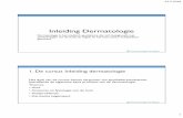 PK Inleiding Dermatologie voor apothekersassistenten II .23-5-2018 1 Inleiding Dermatologie Dermatologie