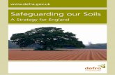 A Strategy for England - assets.publishing.service.gov.uk · Ministerial Foreword 3 This Strategy supports the aims of the EU Thematic Strategy on Soil Protection but clearly demonstrates