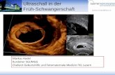 Ultraschall in der Früh-Schwangerschaft - luks.ch · tubar, interstitiell, cervical und in der Sectionaht ... keine Assoziation mit der Klinik und dem Gestationsalter bei der Detektion