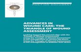 ADVANCES IN WOUND CARE: THE TRIANGLE OF WOUND … DOCUMENT.pdf · Dorothy Doughty, WOC Nurse Clinician, Emory University Hospital, Atlanta, GA, USA Patricia Senet , Department of