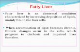 Fatty Liver - Mans of Adipose... · Causes of fatty liver: 1. Increased fat in diet, increased uptake of fats by liver if this exceeds the capacity of thr liver to synthesis VLDL