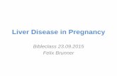 Liver Disease in Pregnancy - Mucosal · PDF fileGeneral Considerations Bibleclass 23.09.2015, Brunner 2 Intrahepatic Cholestasis of Pregnancy HELLP Pre-existing Liver Cirrhosis Bile