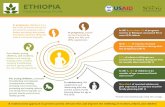 Ethiopia National Anemia Profile - SPRING · ETHIOPIA National Anemia Profile. a c A n e m i r a n b e p e v e n t e d a c r o s s the l i f e s p n. In pregnancy, anemia can be prevented