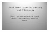 0200-0230-Bernklau- Small Bowel - Capsule Endoscopy and ...gastrodev.org/aga/assets/nppa-2012/Session4/0200-0230-Bernklau-_Small...Objectives • Identify the common causes of gastrointestinal