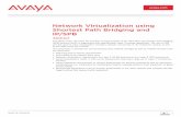 Network Virtualization using shortest Path Bridging (802 ... · Network Virtualization using Shortest Path Bridging and IP/SPB Abstract This White Paper discusses the benefits and