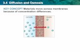 KEY CONCEPT Materials move across membranes because of ... · KEY CONCEPT Materials move across membranes because of concentration differences. 3.4 Diffusion and Osmosis