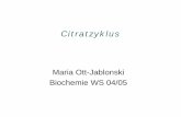 Citratzyklus - pharmazie.heimat.eupharmazie.heimat.eu/downloads/5semester/biochemie/citratzyklus1.pdf · Funktion und Lokalisation des Citratzyklus • Citratzyklus = Tricarbonsäure-(TCA)