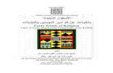 Institute of Islamic-African Studies International تﺎُ ...siiasi.org/wp-content/uploads/2016/04/arbauun-deeniyaat-129387.pdf · teacher Shaykh Adam Kari`angha ibn Muhammad Tukur