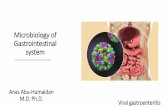 Microbiology of Gastrointestinal systemdoctor2017.jumedicine.com/wp-content/uploads/sites/7/2019/01/Viruses... · Gastroenteritis / overview •Gastroenteritis is inflammation of